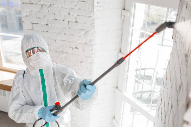 Best Mold Remediation for Healthcare Facilities  in Langhorne, PA