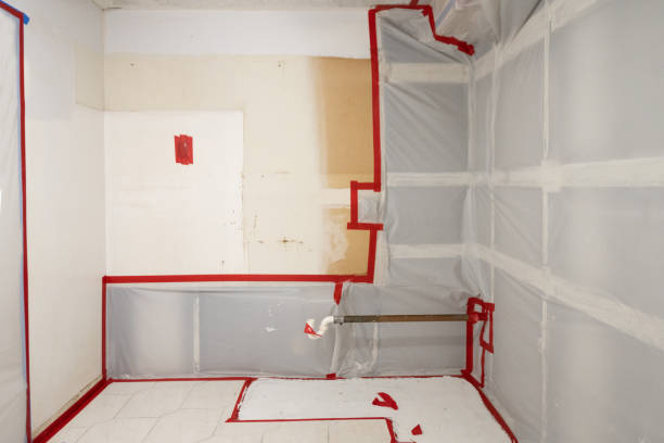 Best Crawl Space Mold Remediation  in Langhorne, PA